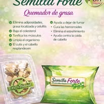 Galería Semilla Forte 8