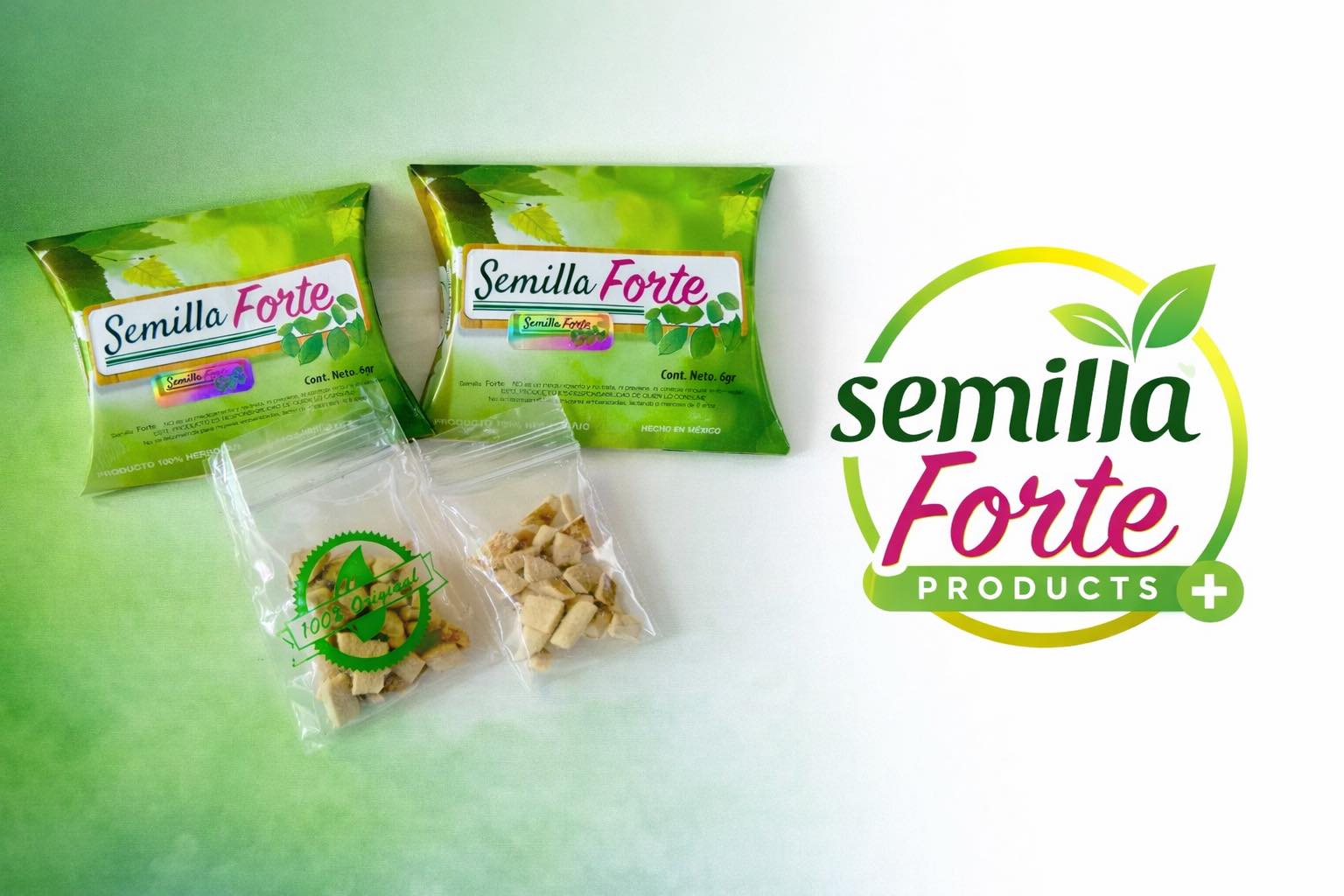 Semilla Forte portada
